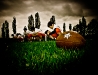Stampeders Hannover warm up mit Ball Knieend