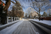 Ostfeldstraße im Schnee