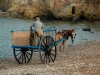 Ibiza der Pferdewagen
