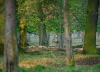 Tiergarten Hannover