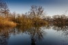 Eilenriede Hannover
