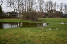 Tristesse auf'm Hundespaziergang