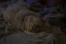 Litz_ROB_7060_2025-12-29-09.39.40